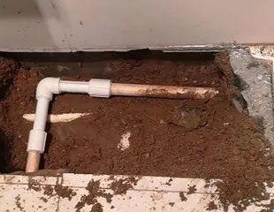 三水测漏水哪家好