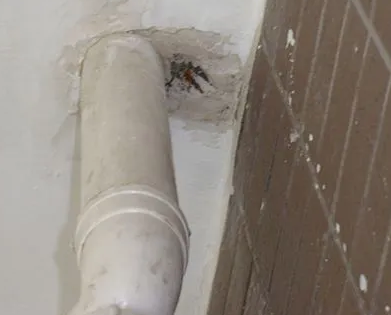 三水漏水检测哪家好